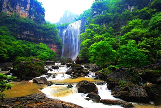 【杜鹃花海】贵阳・毕节百里杜鹃・黄果树双高5日